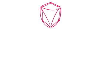 Data Science Brigade logo